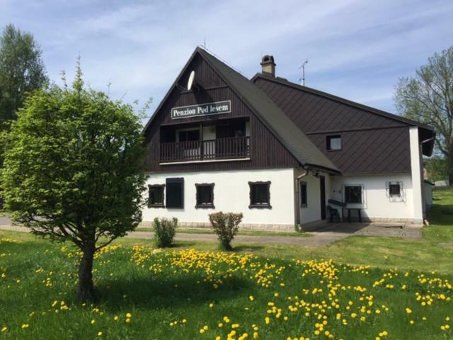 Hotel Penzion Pod Lesem Hodkovice Exterior foto